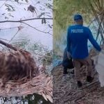 corpo encontrado contorno leste