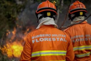 Homem é preso em flagrante após provocar incêndio em área do Pantanal