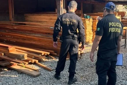 Operação mira grupo suspeito de fraudar controle florestal e vender madeira ilegal em MT