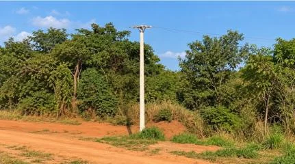 Jovem vai buscar bambu e morre após ser atingido por descarga elétrica em MT